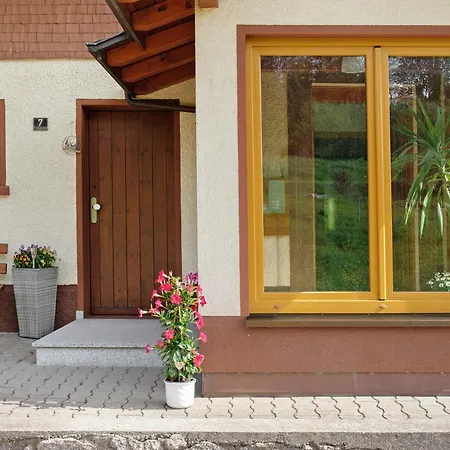 Apartment Haus Brunner Grafenhausen